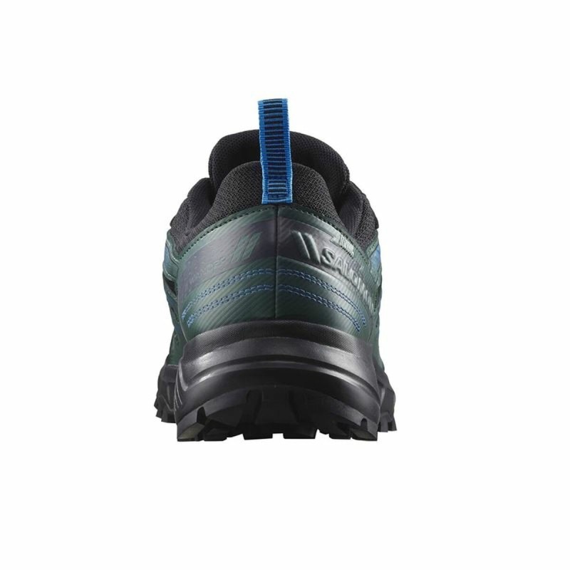 Chaussures de Sport pour Homme Salomon Wander Gore Bleu Noir