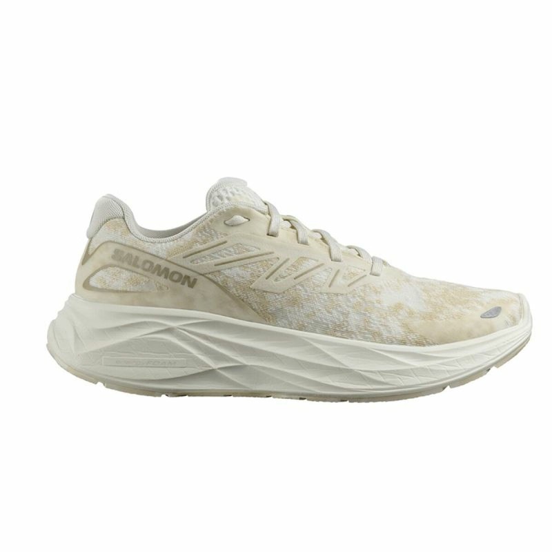 Chaussures de Running pour Adultes Salomon Aero Glide 2 Beige Femme