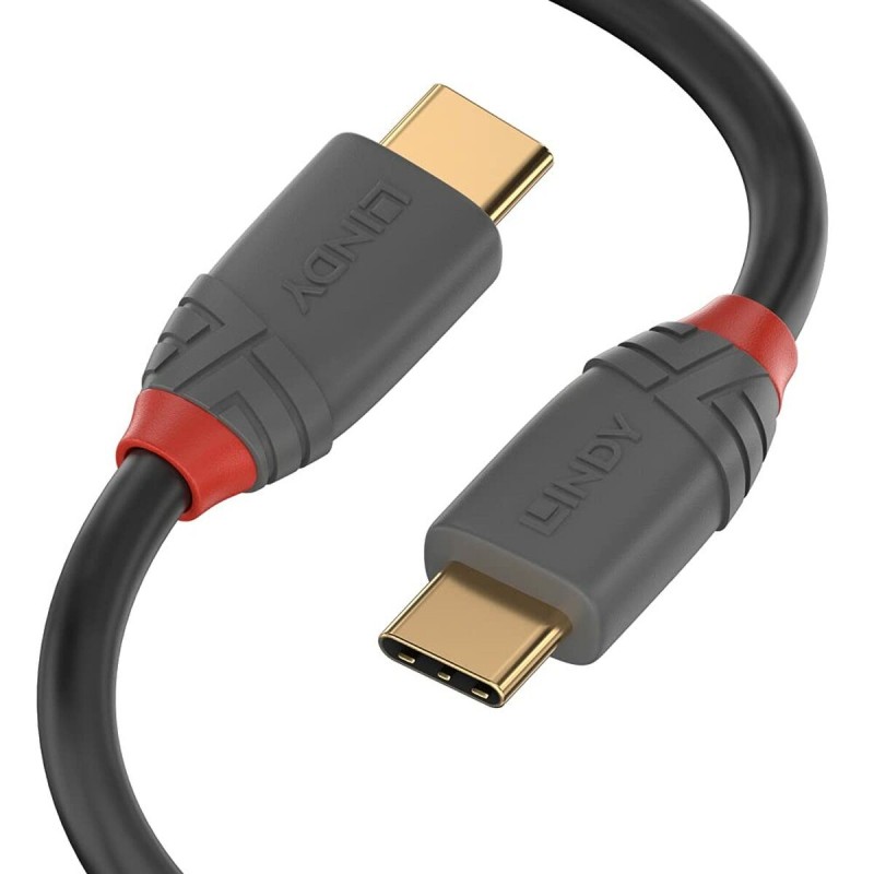 Câble USB C LINDY 36902 Noir 1