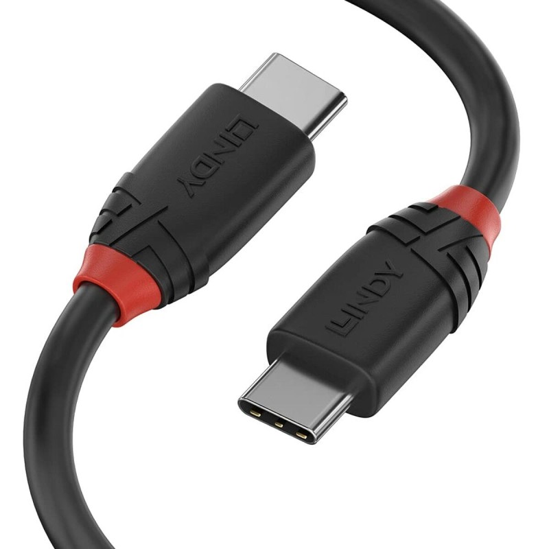 Câble USB C LINDY 36907 1