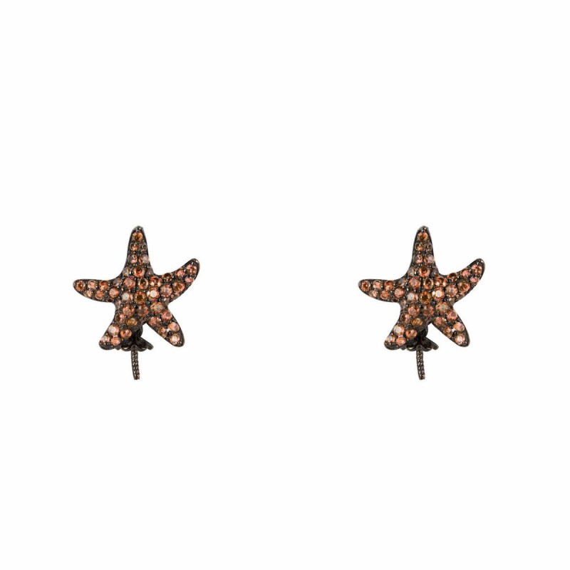 Boucles d´oreilles Femme Lancaster JLA-EAR-STAR-4 1