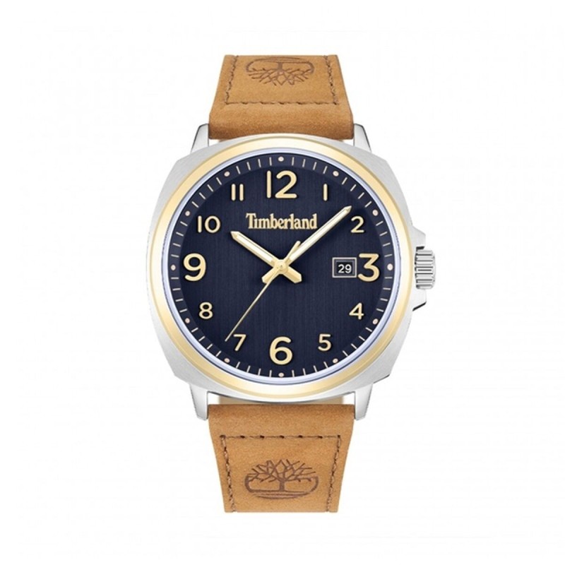 Montre Homme Timberland TDWLB0030201