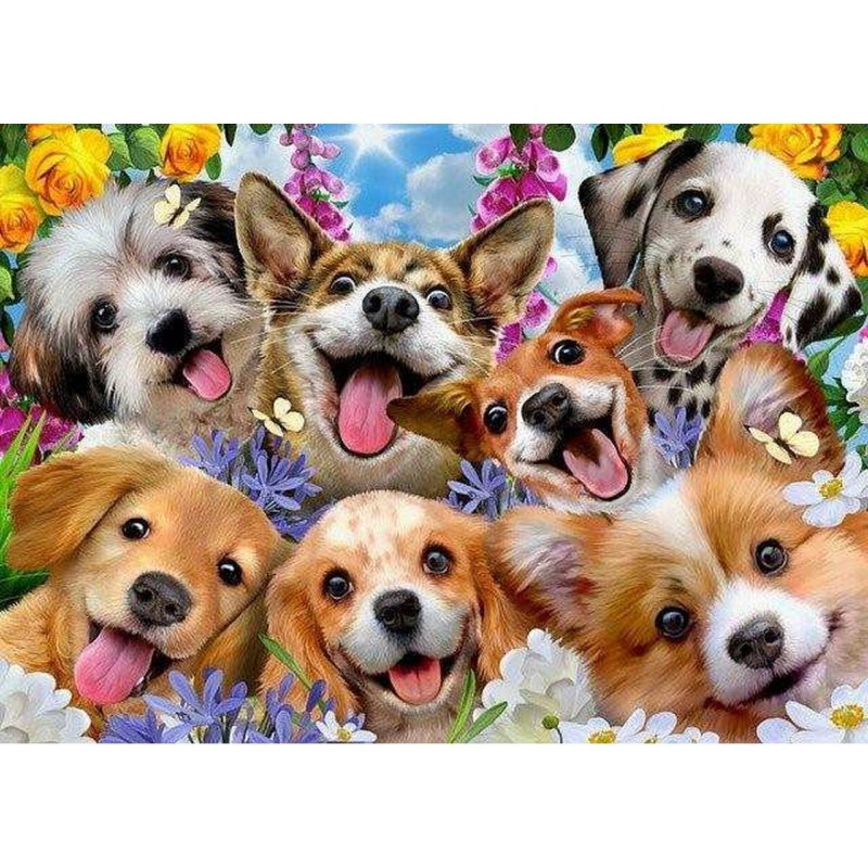 Puzzle Educa Doggy selfie 1000 Pièces