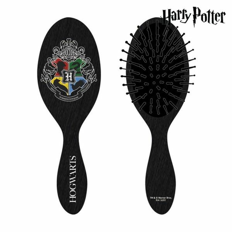 Brosse à Cheveux Harry Potter CRD-2500001307