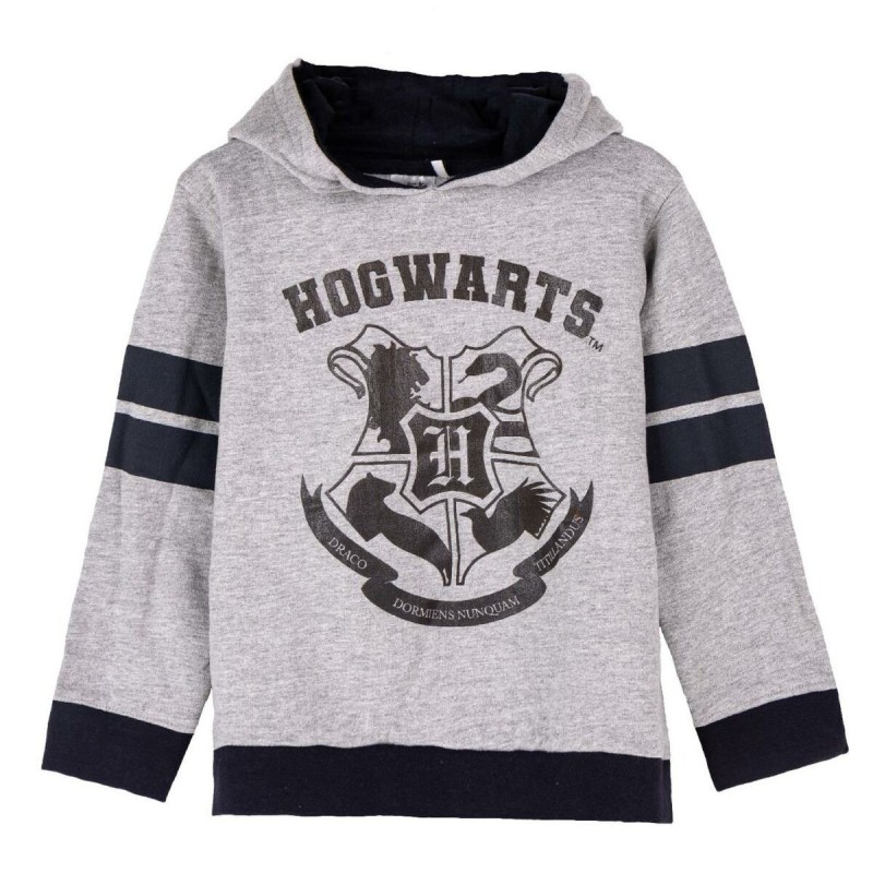 Sweat à capuche enfant Harry Potter Gris