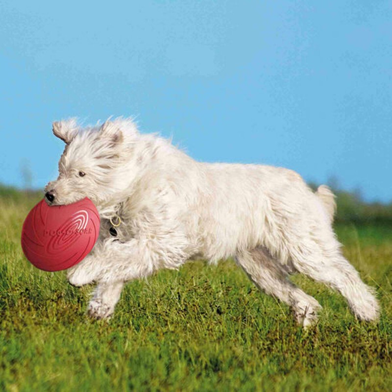 Frisbee Trixie Caoutchouc Ø 24 cm