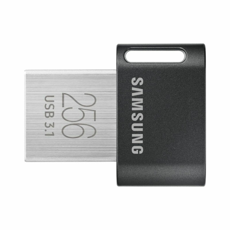 Clé USB Samsung MUF-256AB Argenté 256 GB