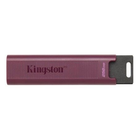 Clé USB Kingston Max Rouge 256 GB (1 Unité)