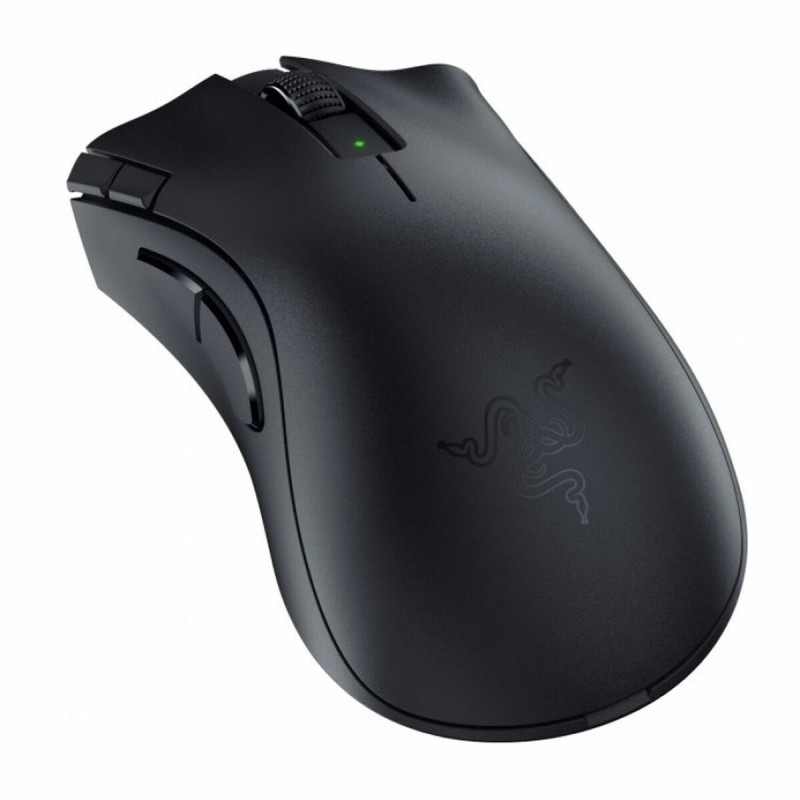 Souris Gaming Razer RZ01-04130100-R3G1 Noir