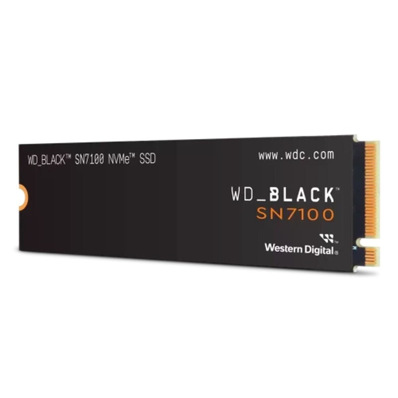 Disque dur SanDisk WDS200T4X0E-00CJA0 1 TB SSD