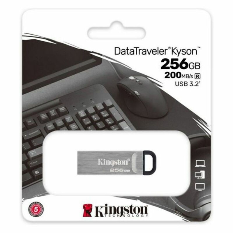 Pendrive Kingston DTKN/256GB 256 GB USB 3.2 Noir 256 GB