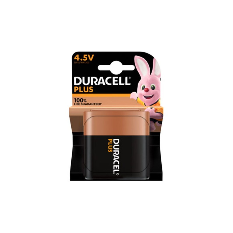 Pile Alcaline DURACELL PLUS K1