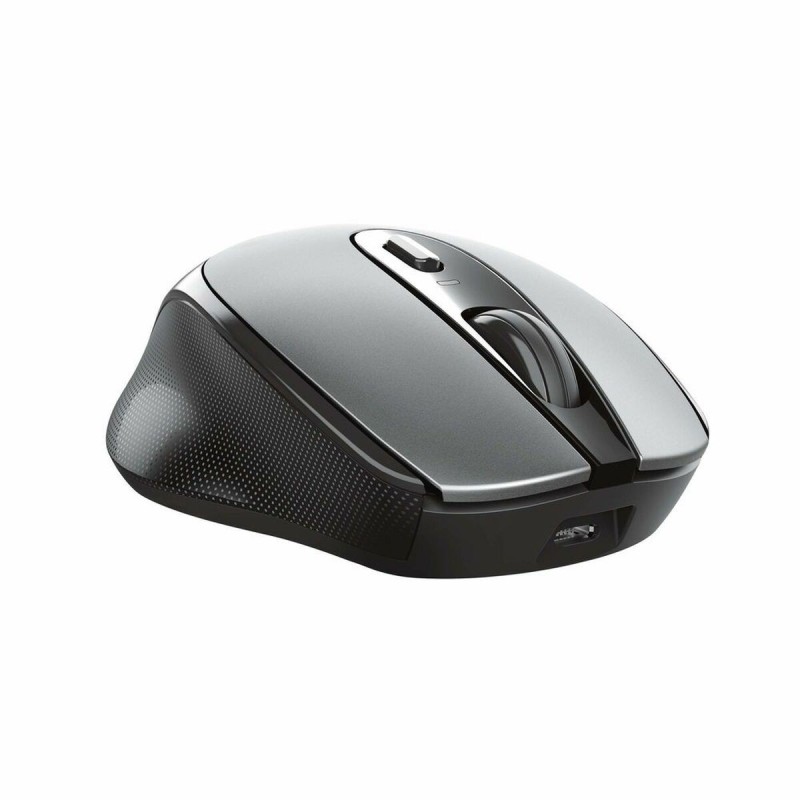 Souris Trust 23809