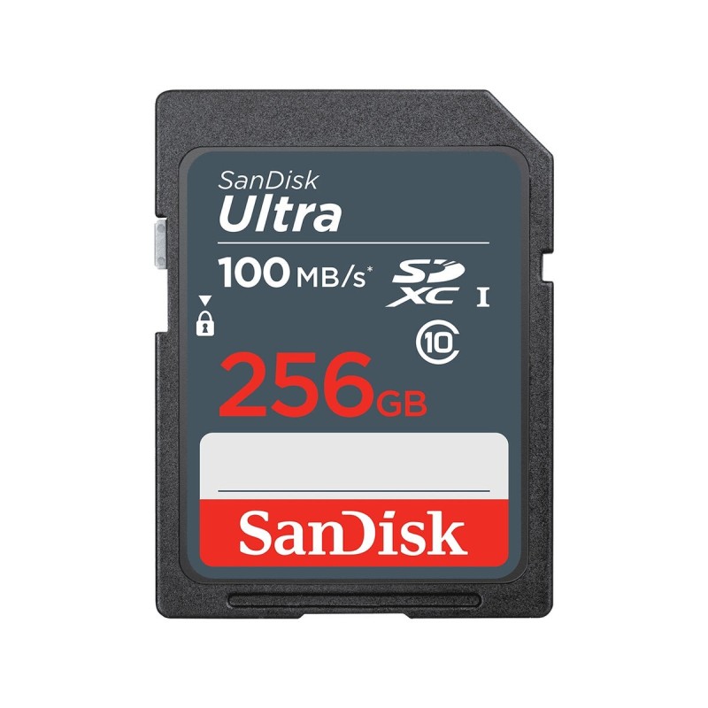 Carte Mémoire Micro SD avec Adaptateur SanDisk SDSDUNR 256 GB