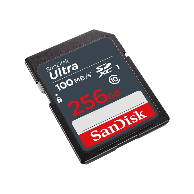 Carte Mémoire Micro SD avec Adaptateur SanDisk SDSDUNR 256 GB