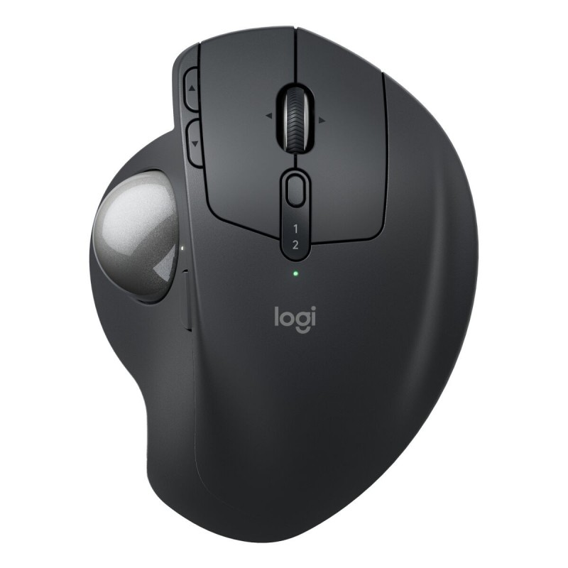 Souris Logitech 910-007260 Graphite