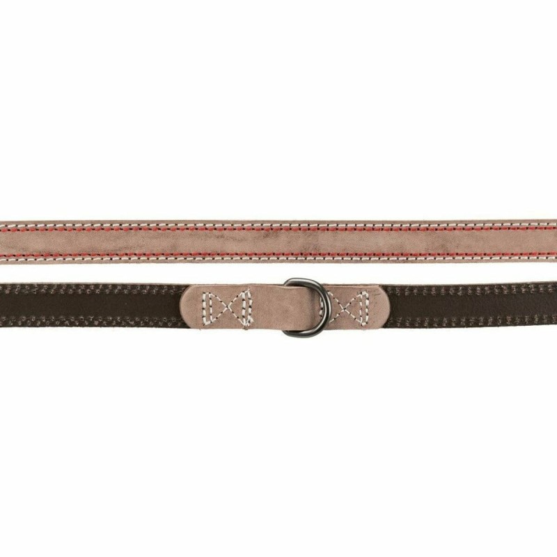 Laisse pour Chien Trixie Marron M/L 2 m