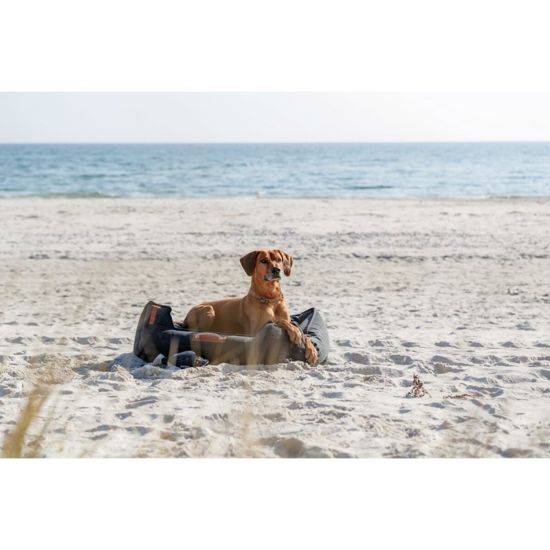 Collier d'entraînement pour chiens Trixie BeNordic Gris L 50 cm