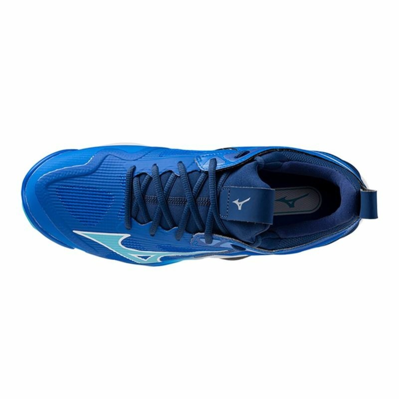 Chaussures de Sport pour Homme Mizuno Wave Momentum 3 Bleu Volleyball