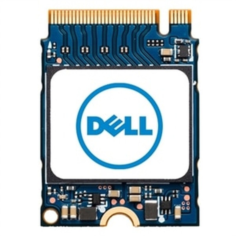 Disque dur Dell AB292881 512 GB SSD