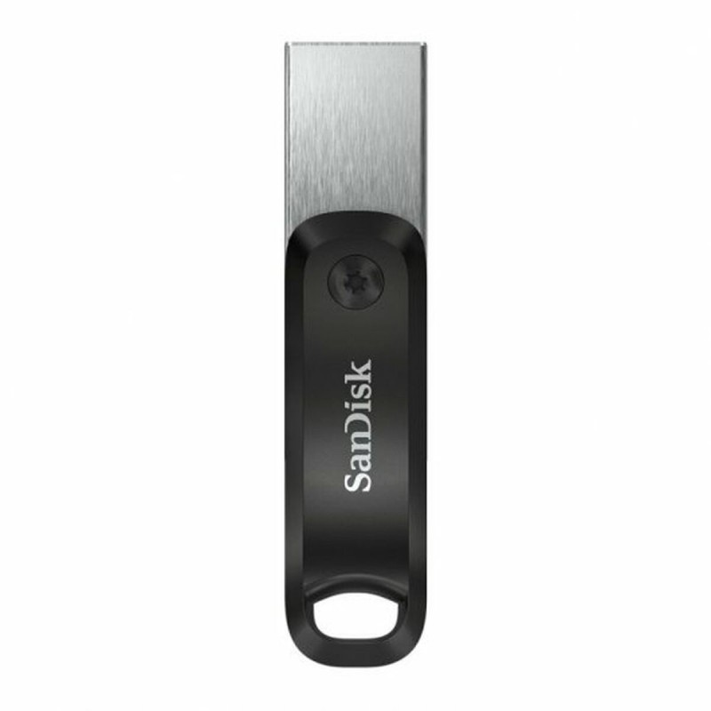 Clé USB SanDisk Argent 128 GB