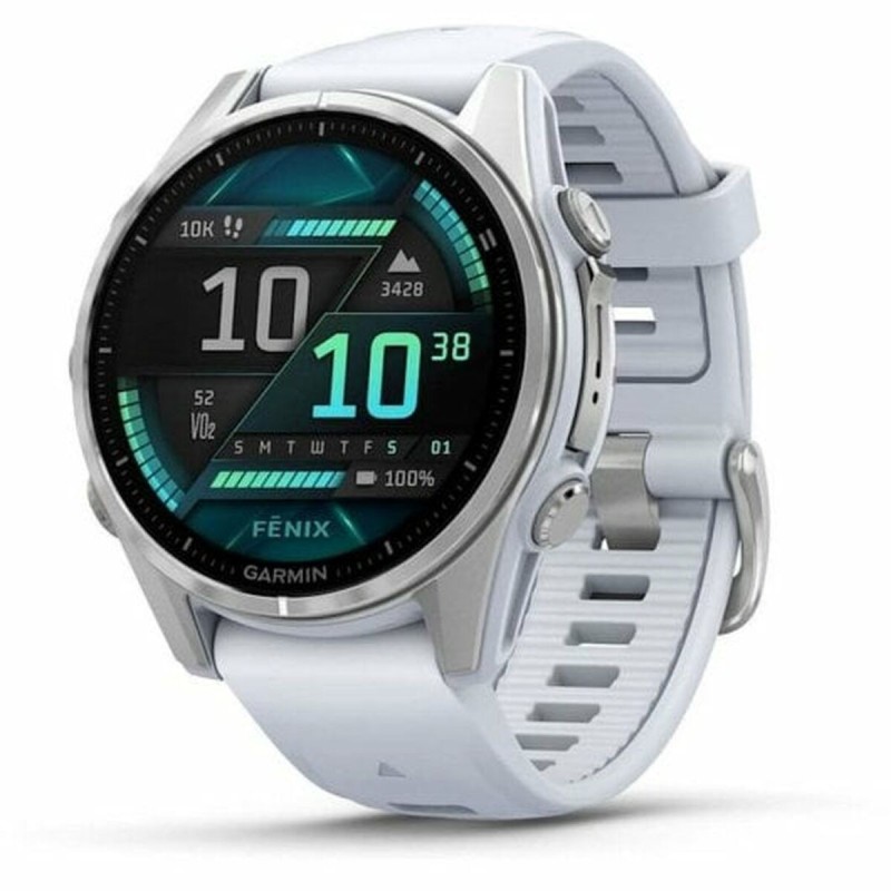 Montre intelligente GARMIN Argenté 1