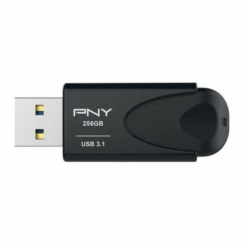 Mémoire RAM PNY 256 GB