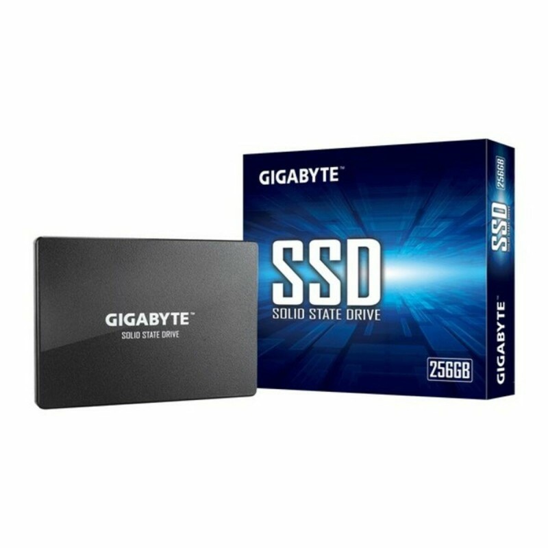 Disque dur Gigabyte 256 GB 256 GB SSD