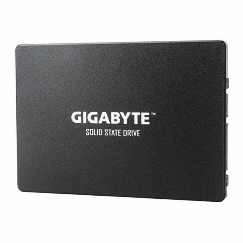 Disque dur Gigabyte 256 GB 256 GB SSD