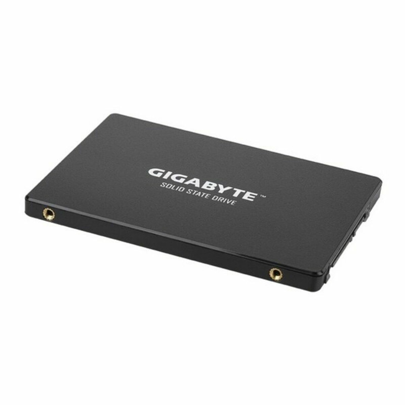 Disque dur Gigabyte 256 GB 256 GB SSD