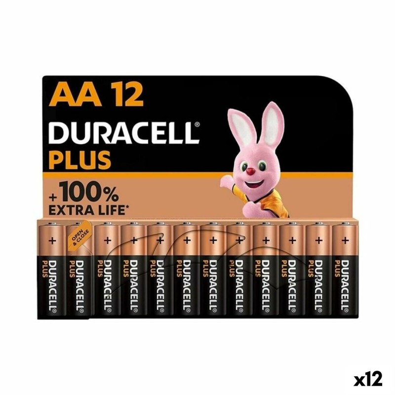 Piles Alcalines DURACELL Plus 1