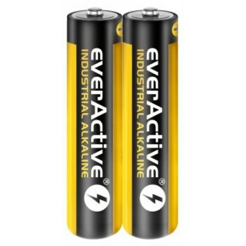 Batteries EverActive LR03 1