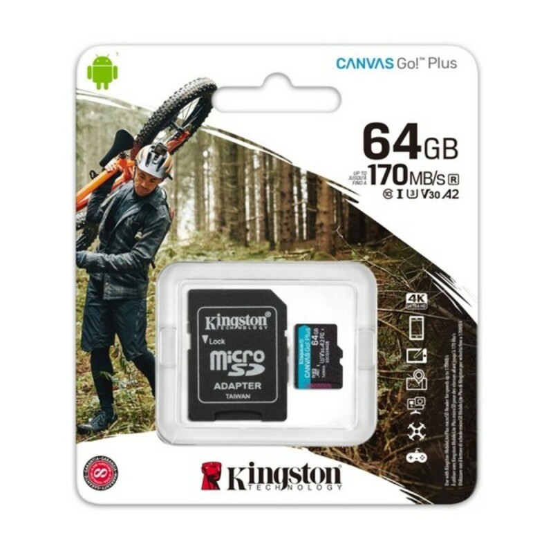 Carte Mémoire Micro SD avec Adaptateur Kingston SDCG3