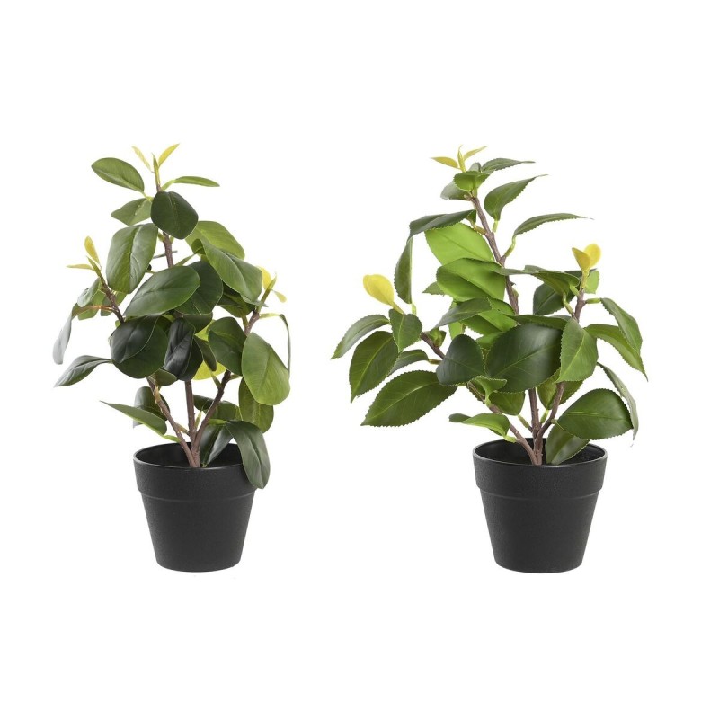 Plante décorative DKD Home Decor Vert PP PE Ficus (2 Unités) (21 x 18 x 30 cm)