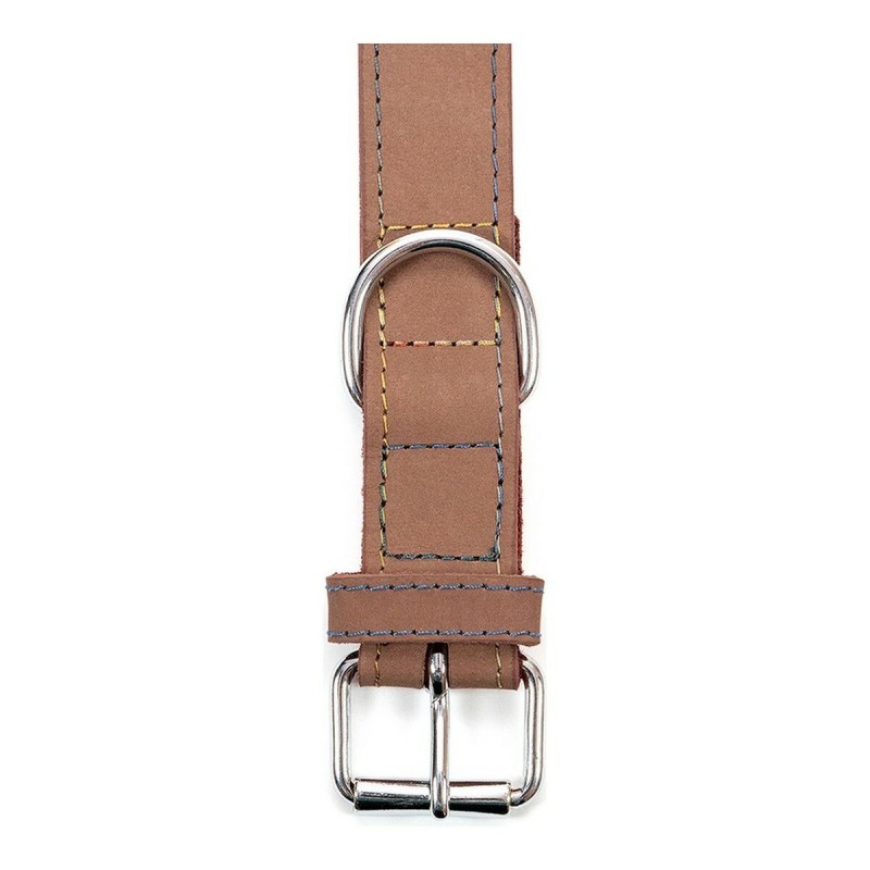 Collier pour Chien Gloria Oasis Marron (55 x 2,5 cm)