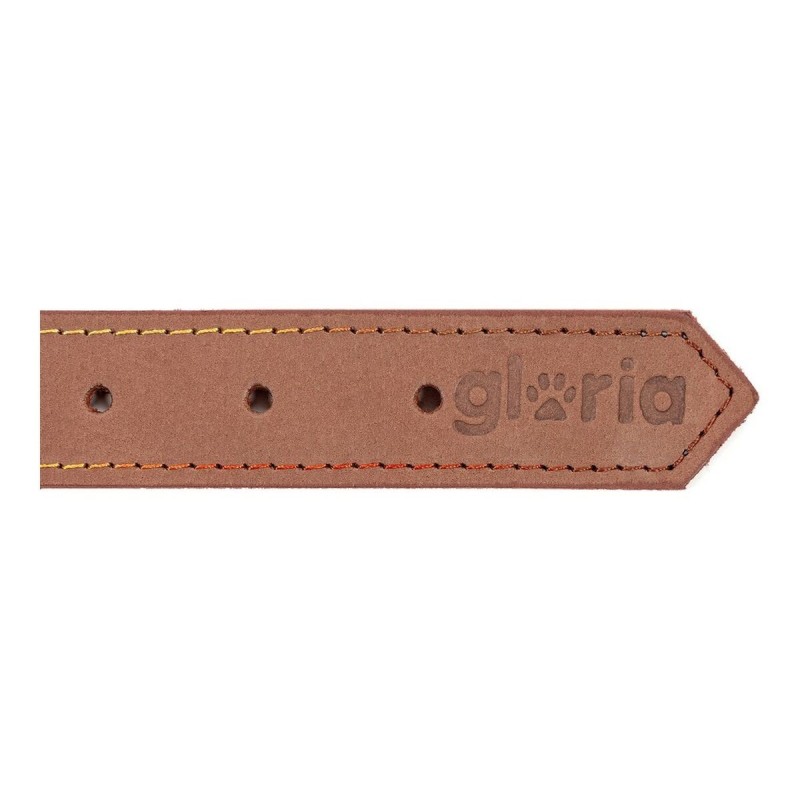 Collier pour Chien Gloria Oasis Marron (55 x 2,5 cm)