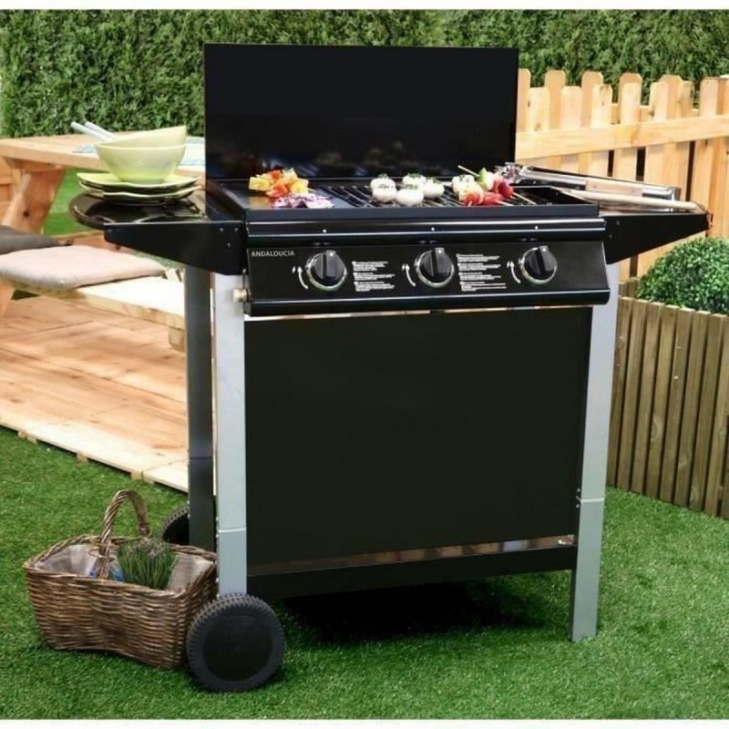 Barbecue à gaz Grill Garden 10,5 KW (62 x 42 cm)