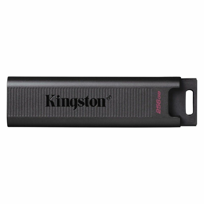 Clé USB Kingston DTMAX/256GB Noir 256 GB (1 Unité)