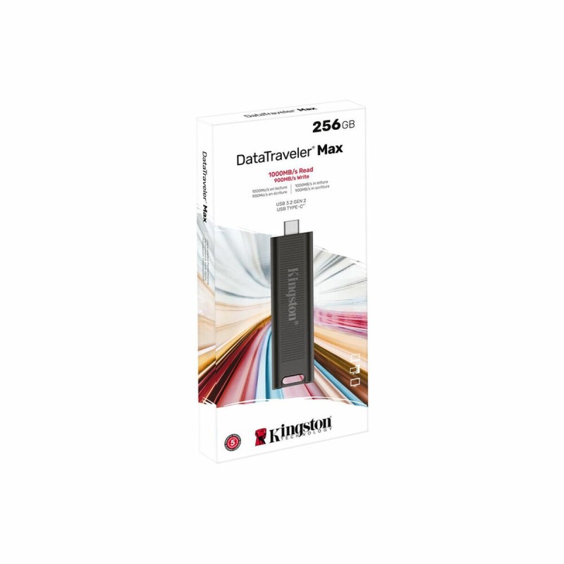 Clé USB Kingston DTMAX/256GB Noir 256 GB (1 Unité)