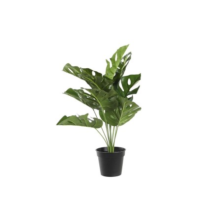 Plante décorative DKD Home Decor Monstera Vert PP PE (48 x 42 x 51 cm)