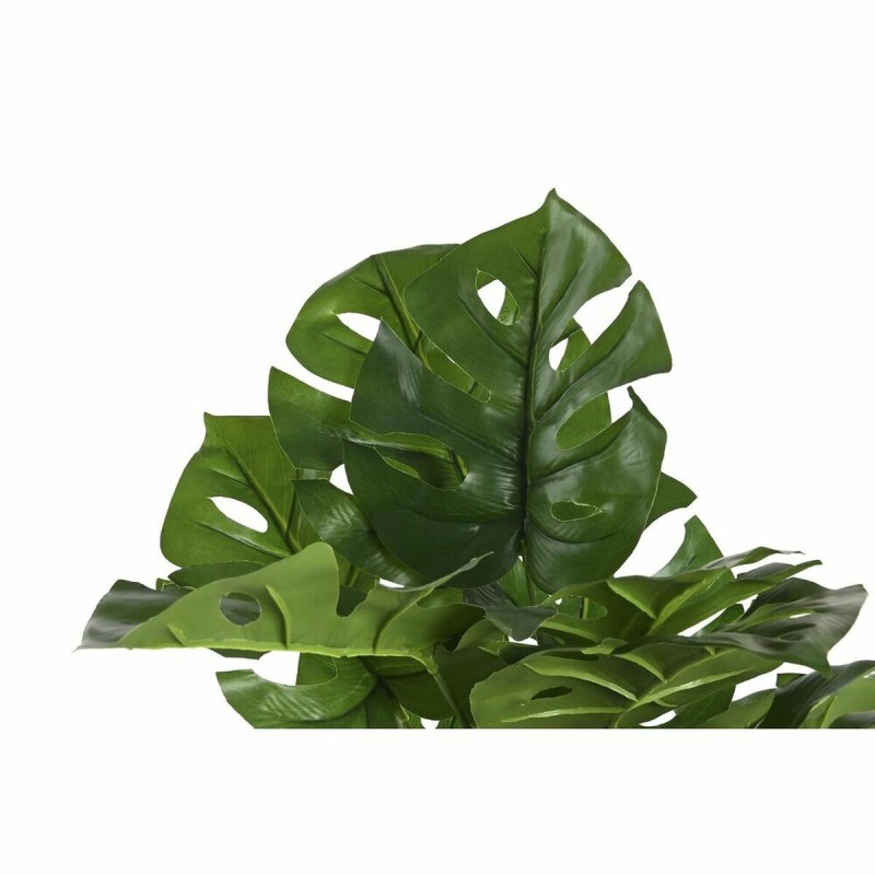 Plante décorative DKD Home Decor Monstera Vert PP PE (48 x 42 x 51 cm)