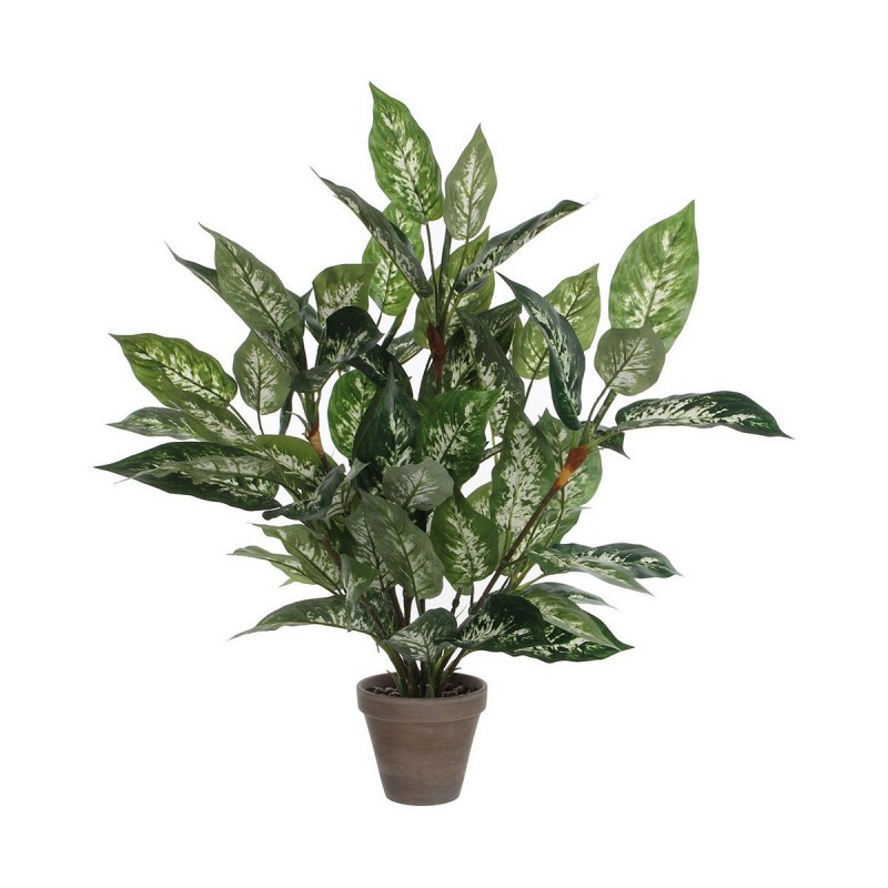 Plante décorative Mica Decorations Dieffenbachia Dieffenbachia Vert PVC (15