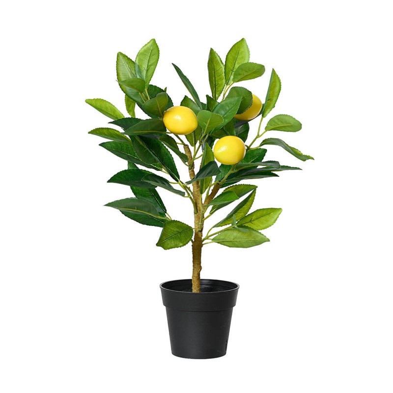 Plante décorative Everlands Plastique Citronnier 17 x 24 x 43 cm