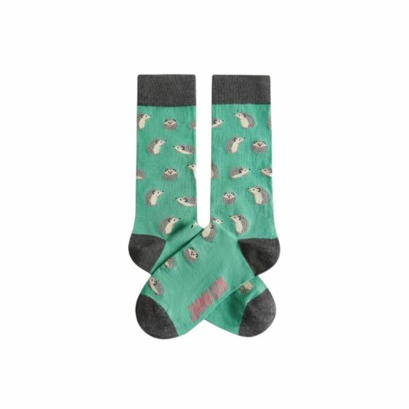 Chaussettes Jimmy Lion Hedgehog Turquoise 36-40