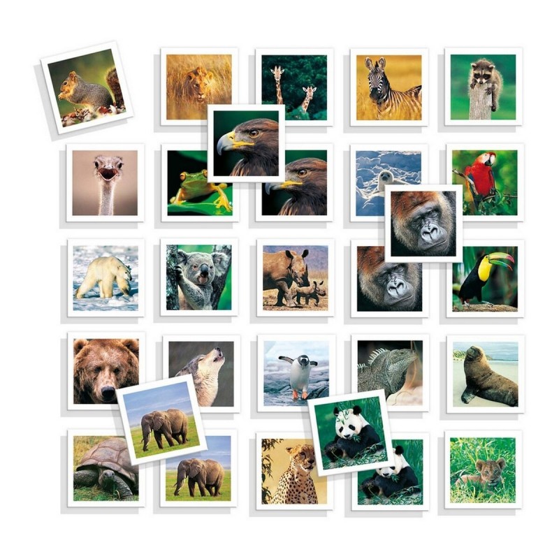 Jouet Educatif Diset Memo Photo Animales 54 Pièces