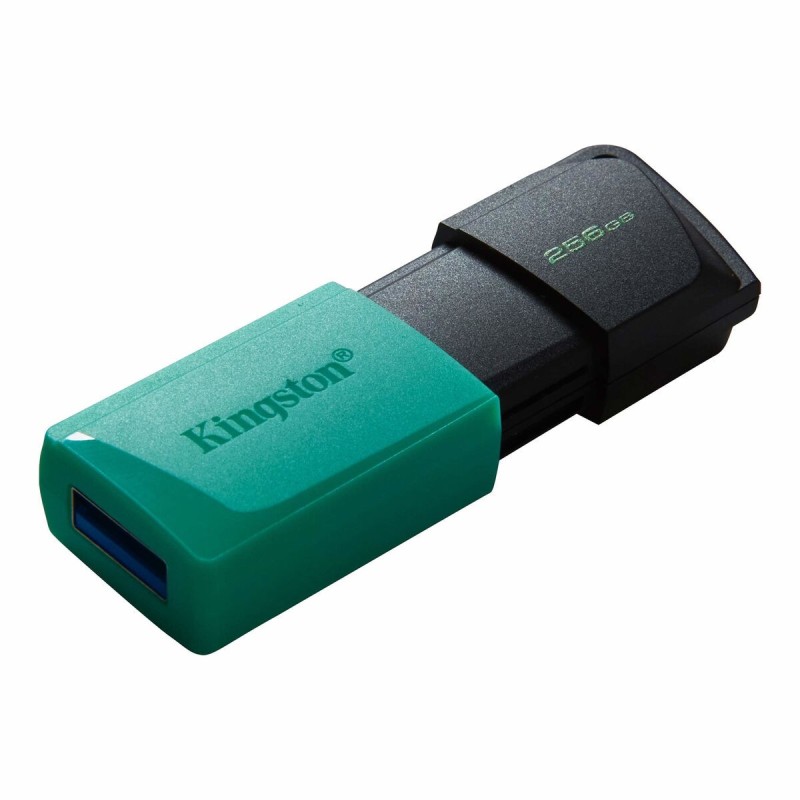 Pendrive Kingston DTXM/256GB Porte-clés Noir Turquoise 256 GB