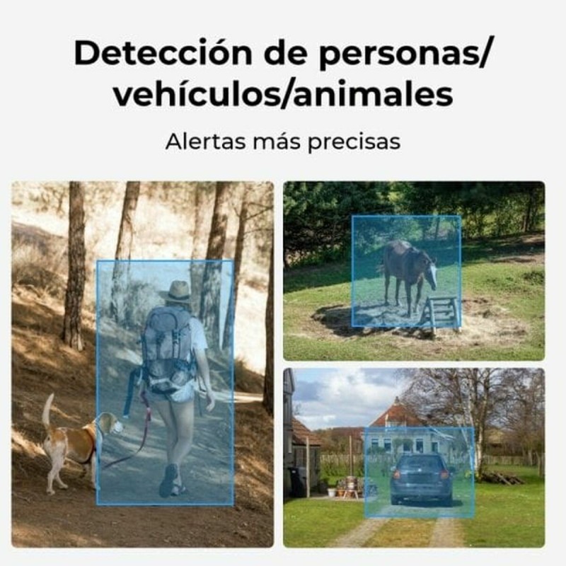 Camescope de surveillance Reolink