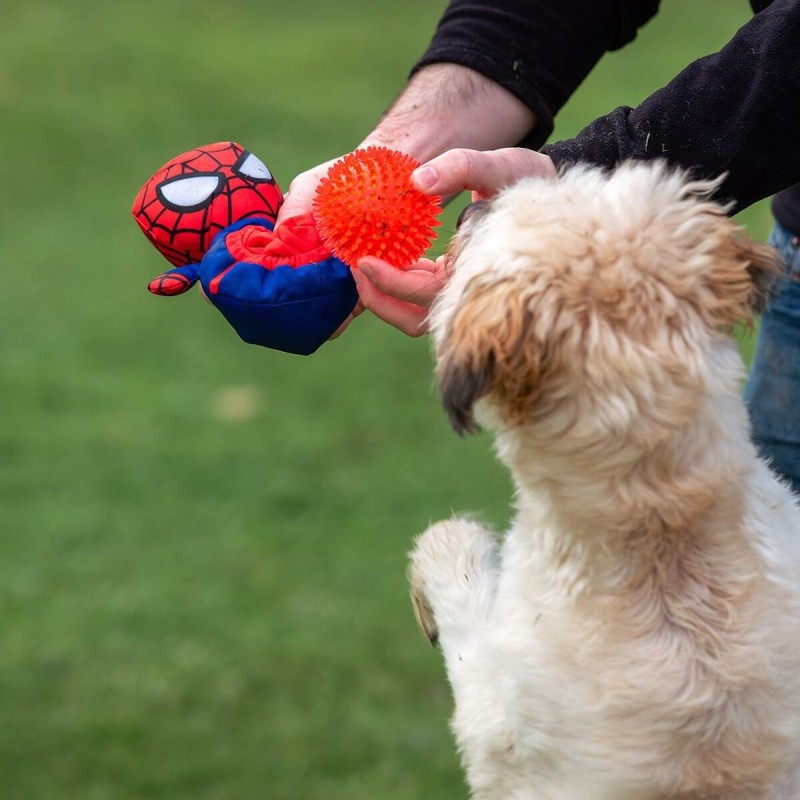 Jouet pour chien Spider-Man Rouge