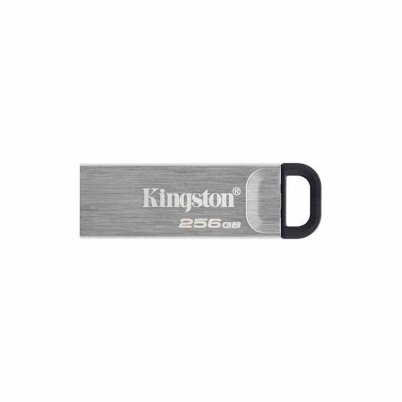 Pendrive Kingston DTKN/256GB USB 3.2 Argenté Noir 256 GB