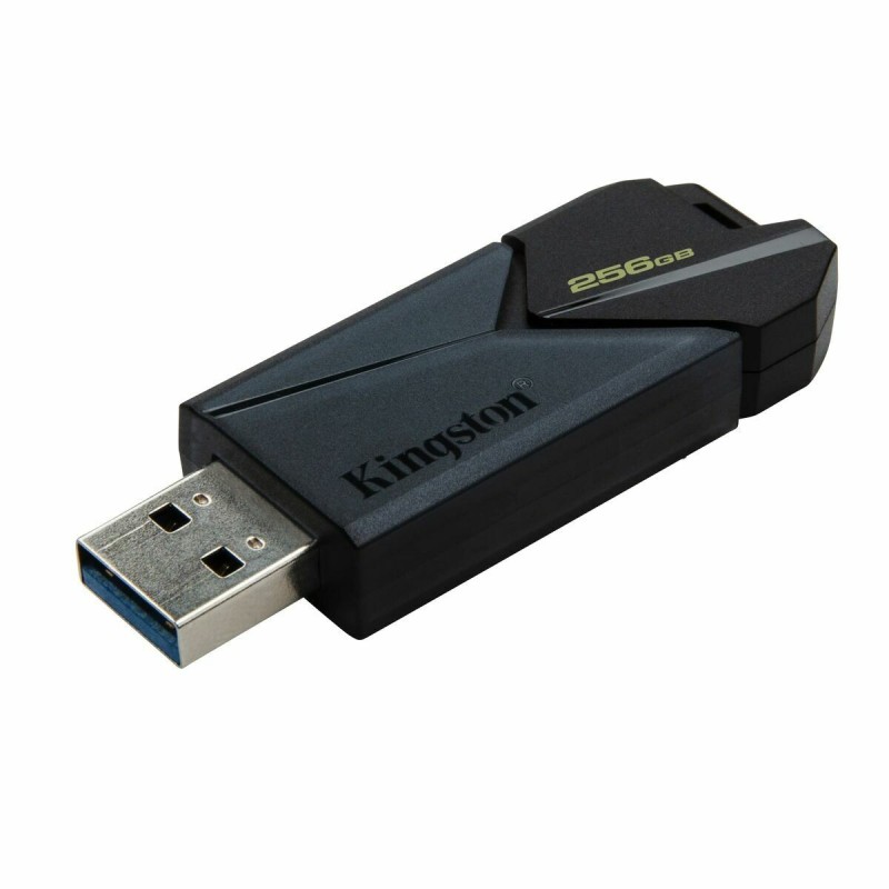 Clé USB Kingston DTXON/256GB Noir 256 GB